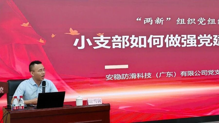 实战党课赋能基层党建｜陆雪寅书记为乐从镇新兴领域党务工作者专题授课