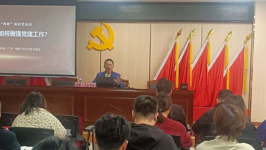 【党课开讲啦】深学全会精神 党建赋能强根基——安稳防滑党支部书记陆雪寅受邀为更合镇新兴领域党组织书记授课